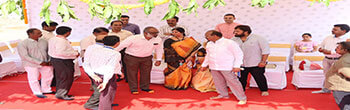 image.caption